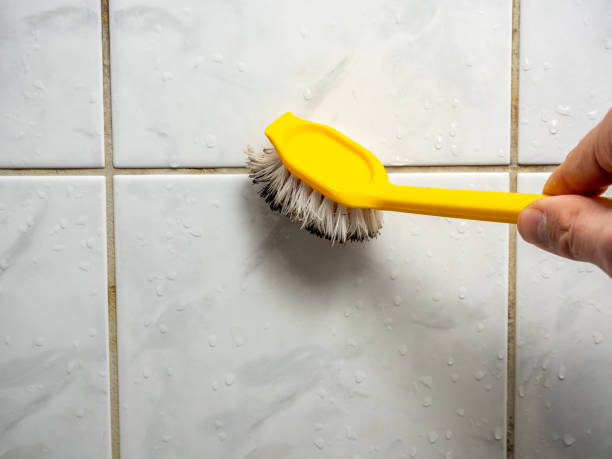 Best Commercial Mold Removal  in Appleton, WI