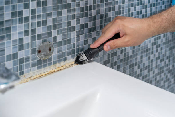 Best Home Mold Removal  in Appleton, WI