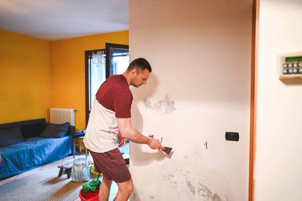 Best Office Mold Removal Services  in Appleton, WI